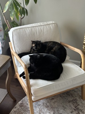 Photo of Salem