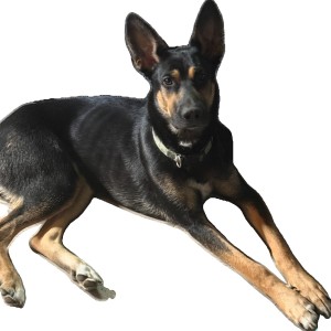 Photo of Roxie