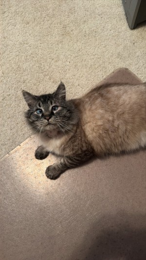 Photo of Franklin