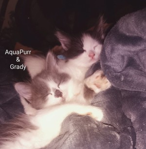 Photo of Grady