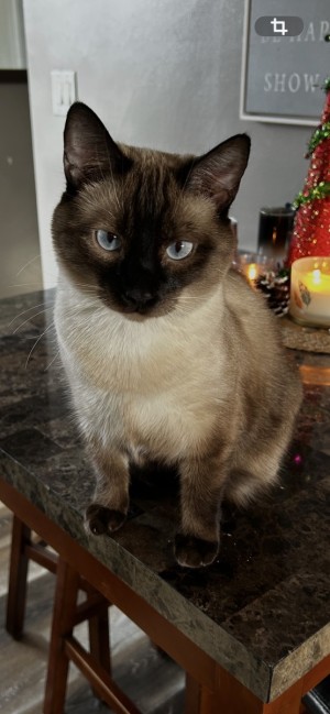 Photo of Gus