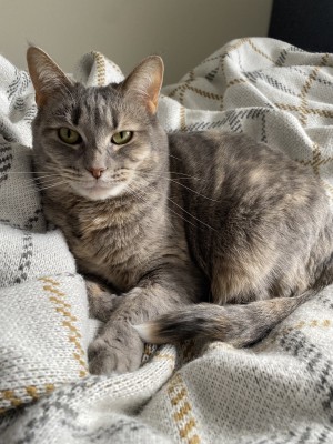 Photo of Asia