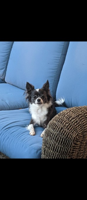 Photo of Fiona