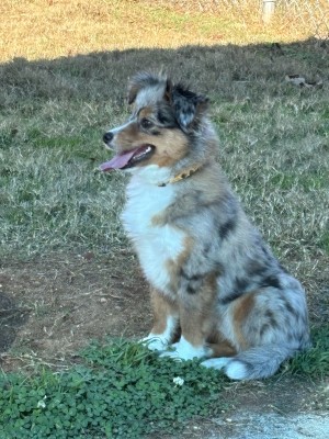 Photo of Yuki