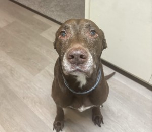 Photo of Keisha
