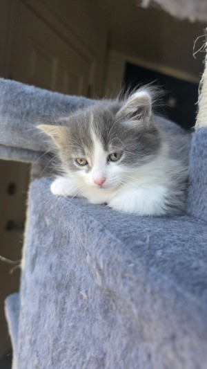 Photo of Myla