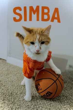 Photo of Simba