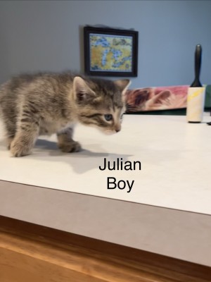 Photo of Julian