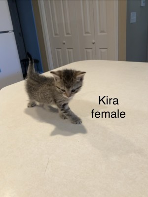 Photo of Kira