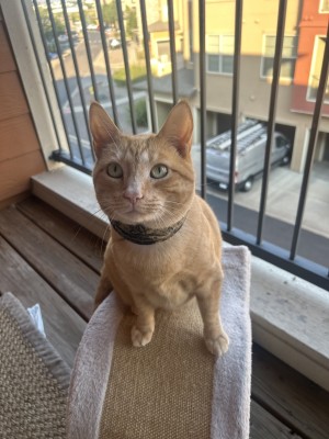Photo of Tiny