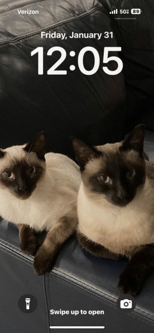 Photo of Myling And Peanut