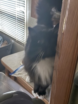 Photo of Maggie