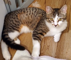 Photo of Luna