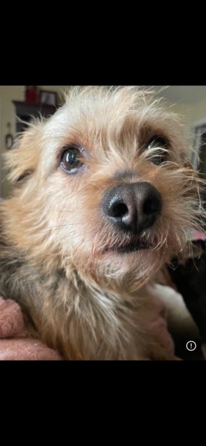 Photo of Charlie