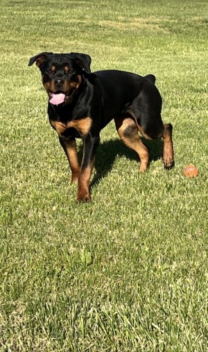 Photo of Loni