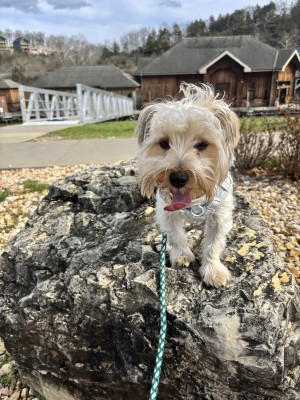 Photo of Oliver