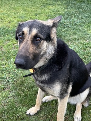 Photo of Kita