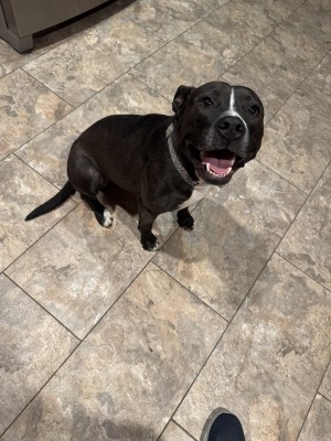 Photo of Roxie