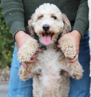 Photo of Reggie