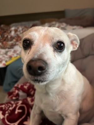 Photo of Charlie