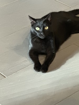 Photo of Kira