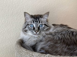 Photo of Sophie