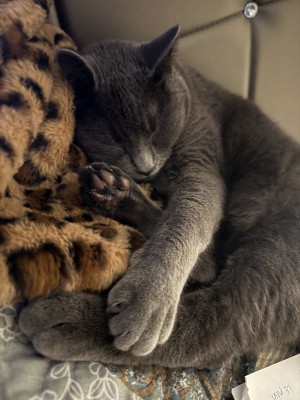 Photo of Charlotte