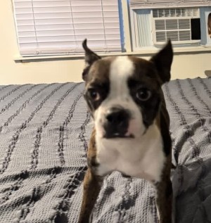 Photo of Ellie
