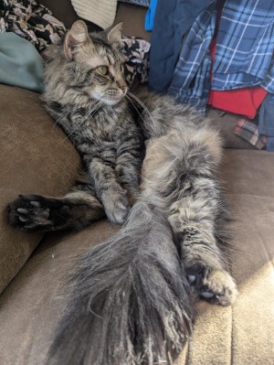 Photo of Bubba