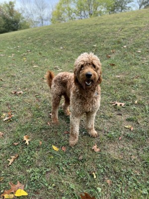 Photo of Clyde