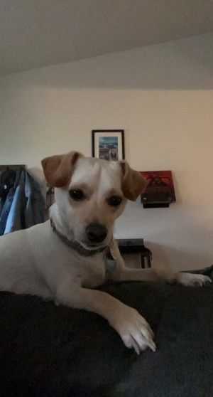 Photo of Tegan