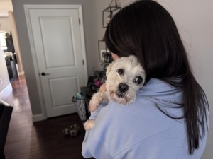 Photo of Izzy