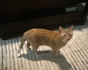 Photo of Nikki