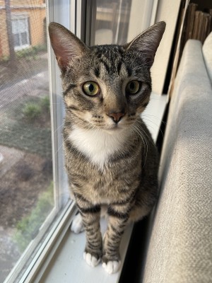 Photo of Ares