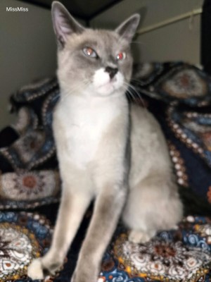 Photo of Baby