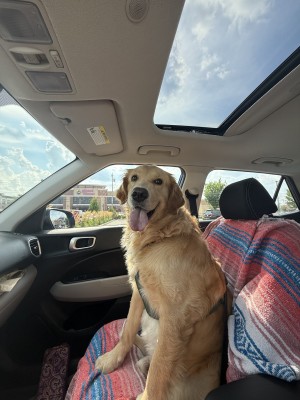 Photo of Hunter