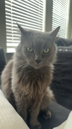 Photo of Elly