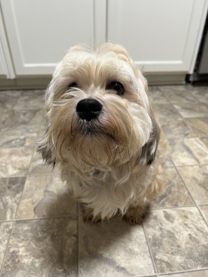 Photo of Baby