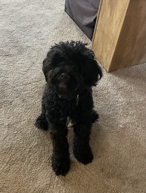 Photo of Bernie