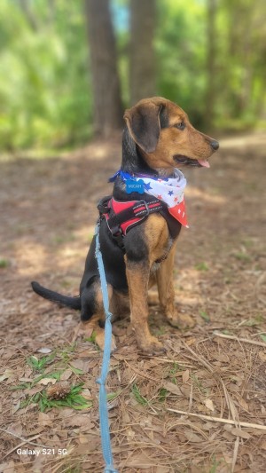 Photo of Micah