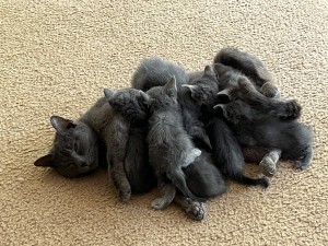 Photo of 1-7
