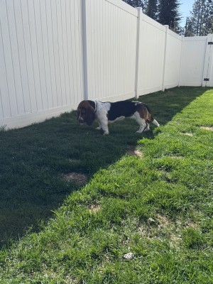 Photo of Molly