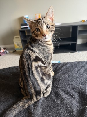 Photo of Ruby