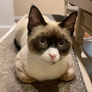 Photo of Boots