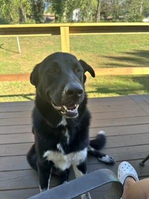 Photo of Remy