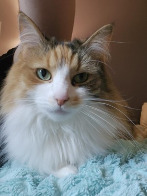 Photo of Jemma