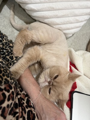 Photo of Steve