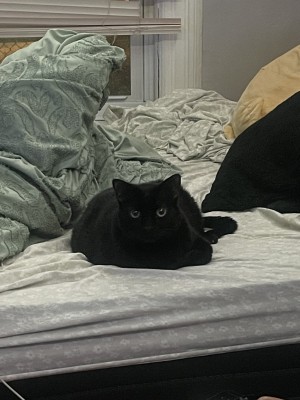 Photo of Buki