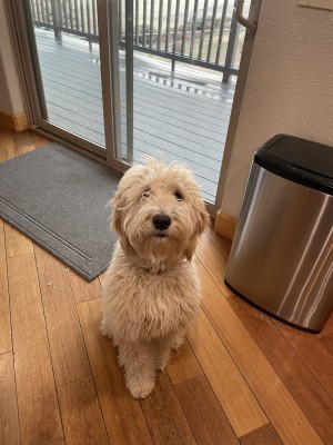 Photo of Eggo