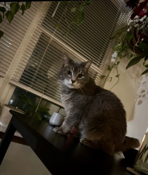 Photo of Samantha